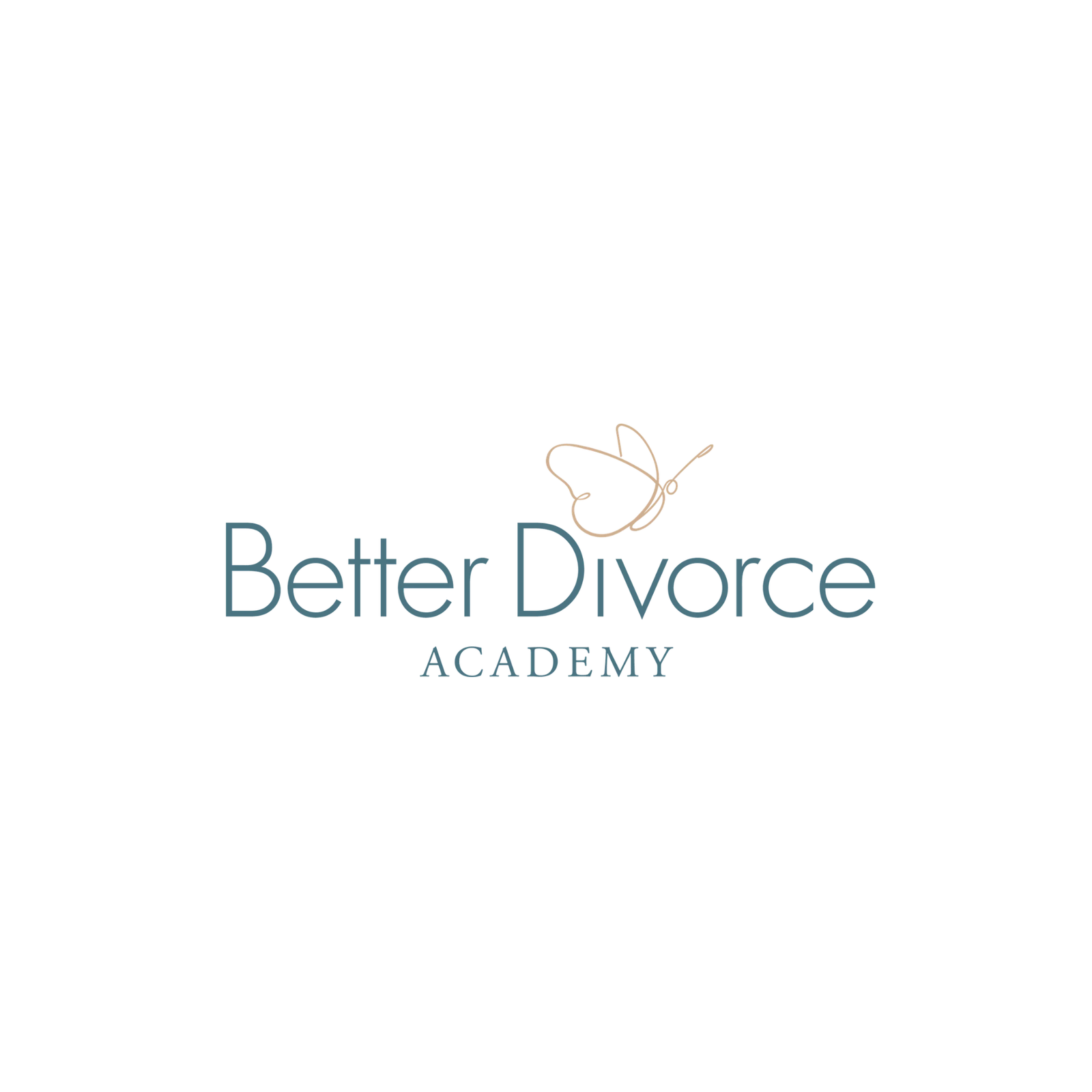 Better Divorce Academy